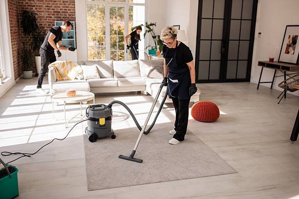 istock Professional Home Cleaners Working Together 2214251372