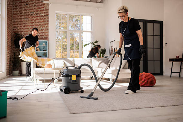 istock Professional Home Cleaners Working Together 2214251565