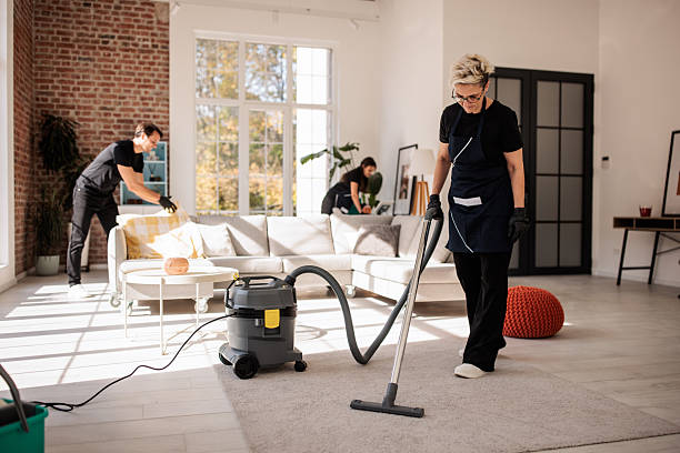 istock Professional Home Cleaners Working Together 2214251584