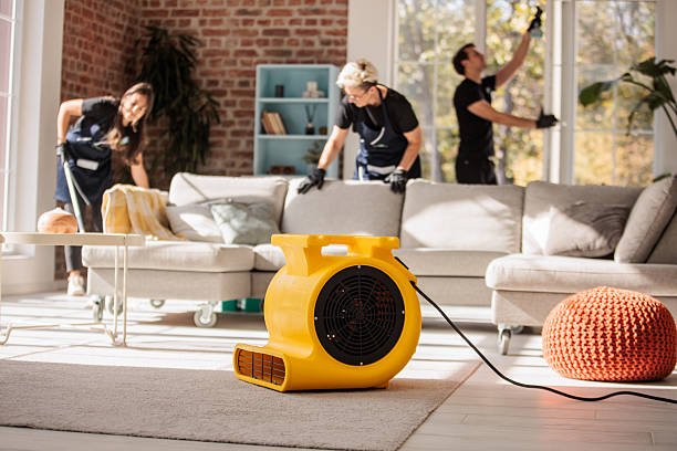 istock Home Cleaning Crew Tidying Large Apartment Interior 2214251890