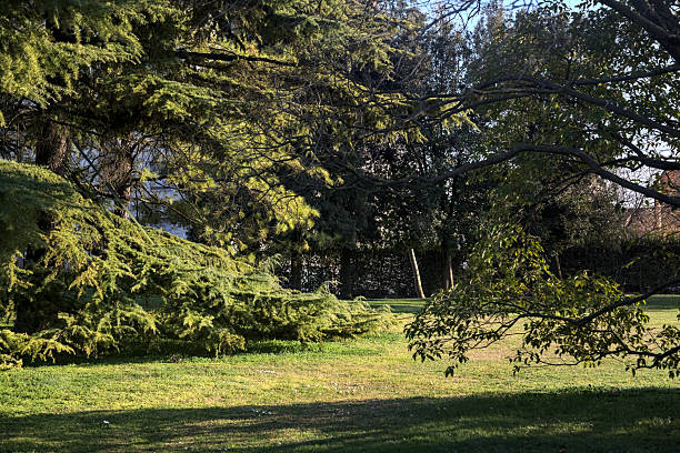 Garden in a country mansion at sunset