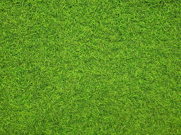 istock Top view of green artificial grass. 2214256847