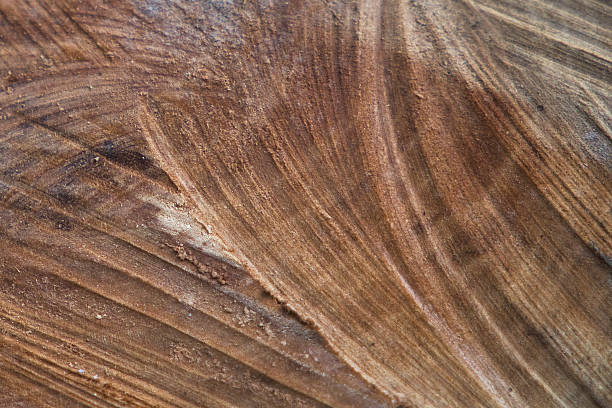 istock The image is of a wooden surface with a grainy texture 2214259943