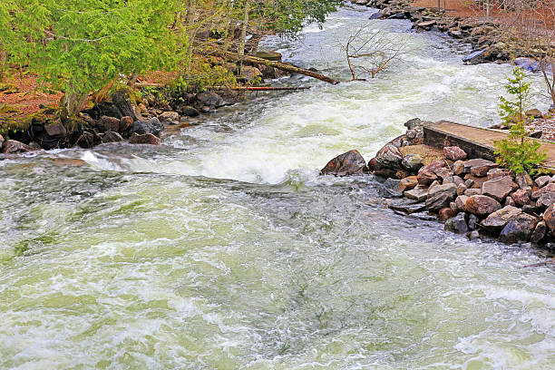 istock On Top of Whitewater Rapids Looking Down River 2214262757