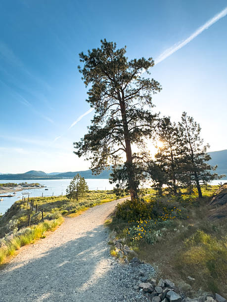 istock Hiking trail in the Okanagan 2214264819