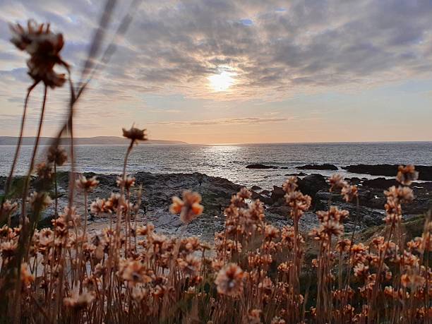 istock Sunset  over St Ives bay 2214265272