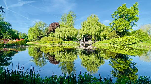 istock Nice park on a sunny day in may 2025 2214271801
