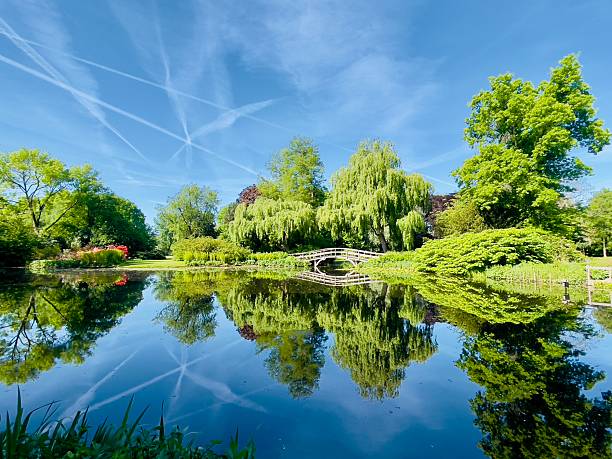 istock Nice park on a sunny day in may 2025 2214271812