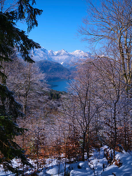 istock Winter landscape with snow-covered trees and mountains reflecting on a lake under a clear blue sky 2214283709