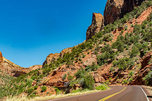 istock Zion National Park view, Utah, USA 2214286004
