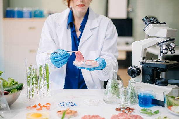 istock Scientist testing food samples in lab with microscope, vegetables, and meat for safety, nutrition, and biotechnology 2214300739