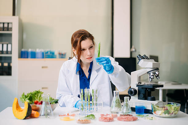 istock Scientist testing food samples in lab with microscope, vegetables, and meat for safety, nutrition, and biotechnology 2214300749
