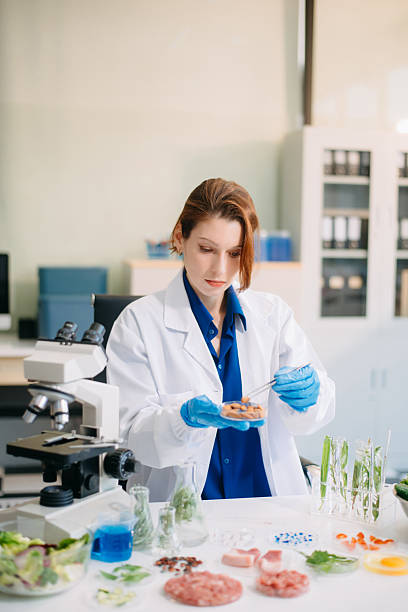 istock Scientist testing food samples in lab with microscope, vegetables, and meat for safety, nutrition, and biotechnology 2214300750