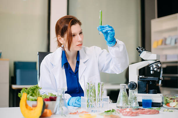 istock Scientist testing food samples in lab with microscope, vegetables, and meat for safety, nutrition, and biotechnology 2214300751
