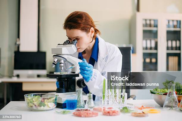 Lab Sample Food Scientist Testing Food Samples In Lab With Microscope Vegetables And ...