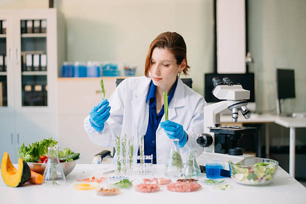 istock Scientist testing food samples in lab with microscope, vegetables, and meat for safety, nutrition, and biotechnology 2214300763