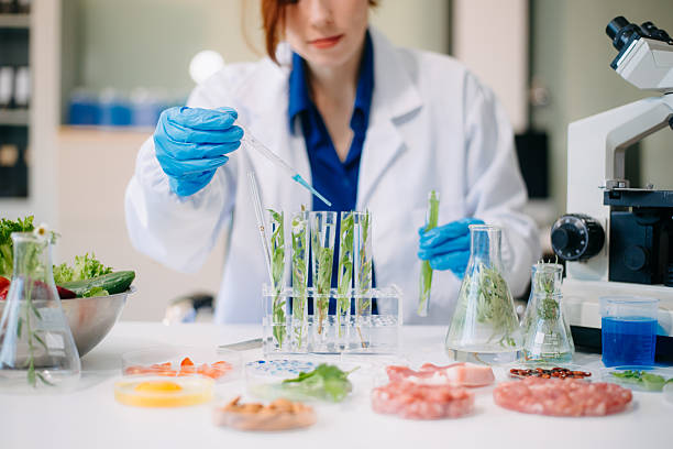 istock Scientist testing food samples in lab with microscope, vegetables, and meat for safety, nutrition, and biotechnology 2214300765