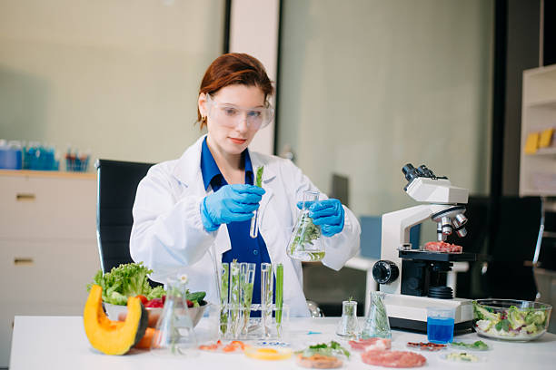 istock Scientist analyzing food samples in modern lab with advanced equipment for safety, nutrition, and biotechnology research. 2214300766