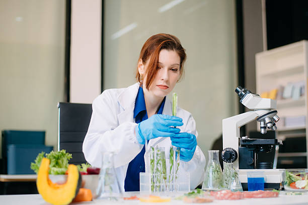 istock Scientist testing food samples in lab with microscope, vegetables, and meat for safety, nutrition, and biotechnology 2214300772