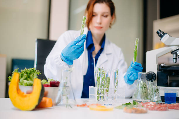 istock Scientist testing food samples in lab with microscope, vegetables, and meat for safety, nutrition, and biotechnology 2214300776