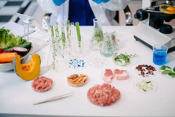 istock Scientist analyzing food samples in modern lab with advanced equipment for safety, nutrition, and biotechnology research. 2214300789