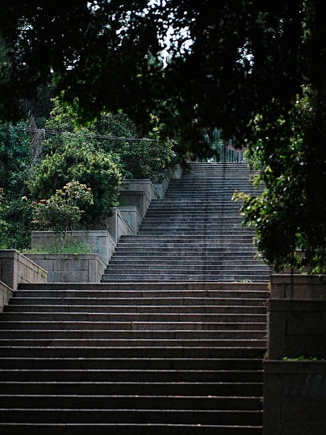 The long staircase under the shade of greenery