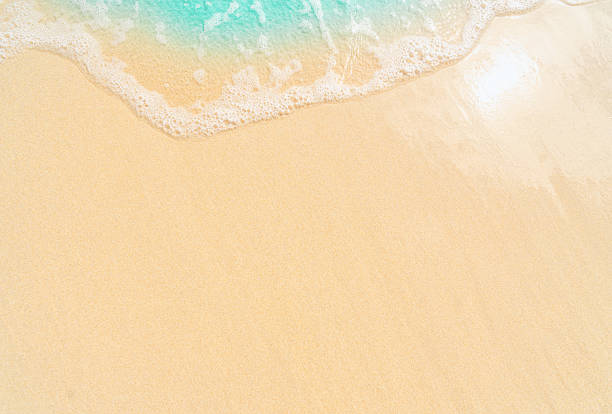 istock beautiful sandy beach, closeup, top view 2214303992