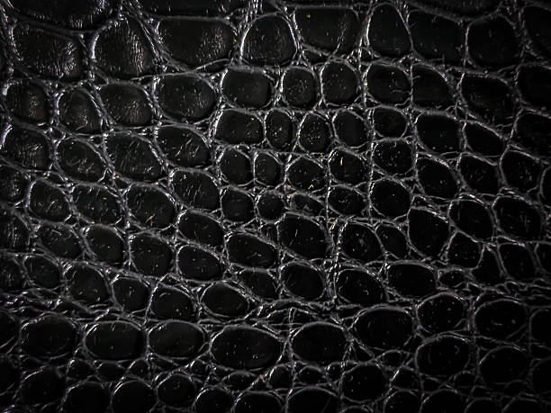 istock Close-up of black crocodile skin texture 2214309582