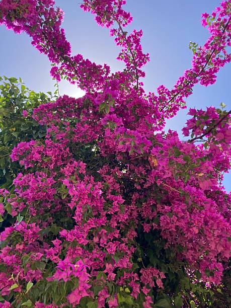 istock Travels thru Spain 2214310829