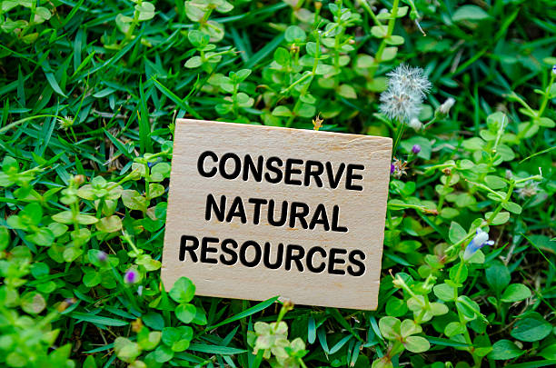 istock Top view of Conserve natural resources text on wooden block with customizable space for text. Conservation concept. 2214311863