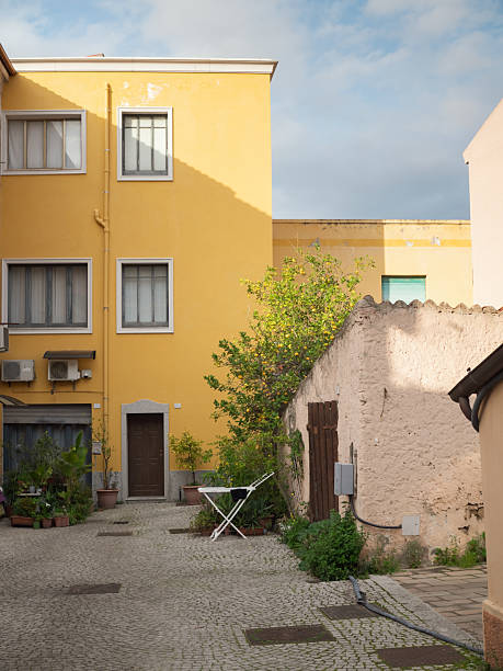 A vertical wide-angle photograph of a cute yard  in the old town of Olbia, Sardinia, Italy in February. The scene features a vibrant lemon-yellow building wall, a cobblestone pavement, and a lush lemon tree bearing ripe fruits. Numerous terracotta pots with diverse greenery add texture and warmth to the space. A white laundry rack and glimpses of surrounding buildings contribute to the lived-in feel of this cozy Mediterranean corner, radiating peaceful off-season charm.