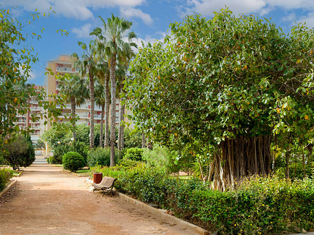 istock La Manga Murcia Spain 2214316839