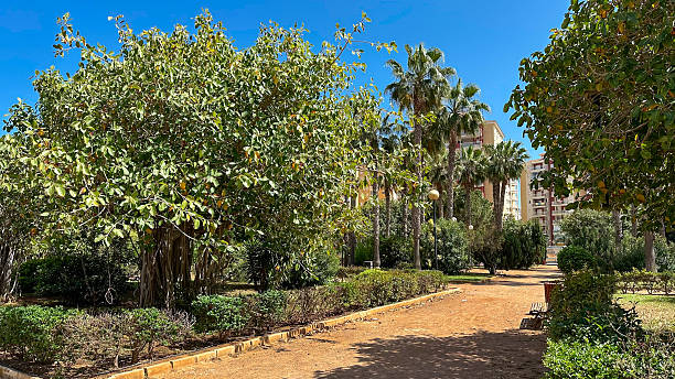 istock La Manga Murcia Spain 2214316852