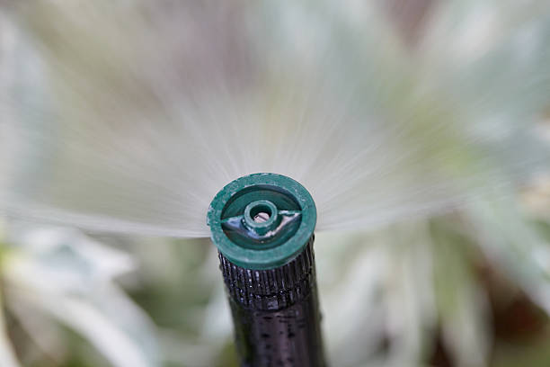 istock Automatic sprinkler system watering plant in the garden 2214318158