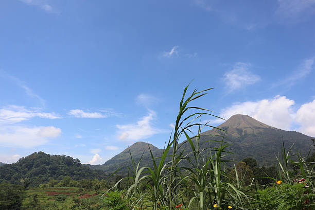 istock Beautiful outdoor natural views. 2214319572