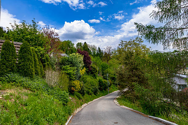 A picturesque winding road surrounded by lush greenery and vibrant trees under a bright blue sky with fluffy clouds. Perfect for nature enthusiasts and landscape photography