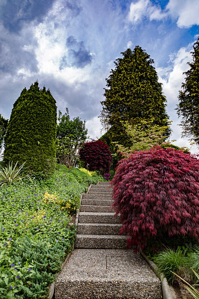 A beautifully landscaped garden with stone steps ascending through a variety of colorful plants and trees, creating a peaceful and inviting atmosphere.