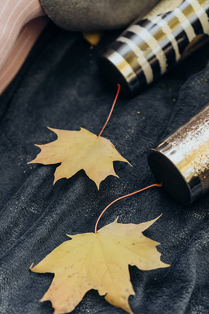 istock Autumn Leaves on Black Surface. Flat lay with maple leaves and stylish thermal mugs on soft dark blanket composition of cozy seasonal picnic textures warm tones and autumn nature details 2214324407