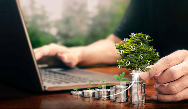 istock Man use laptop and stack coin represent  business growth. finance, green, money, coin, growth, stack, opportunity and sustainable concept. 2214325215
