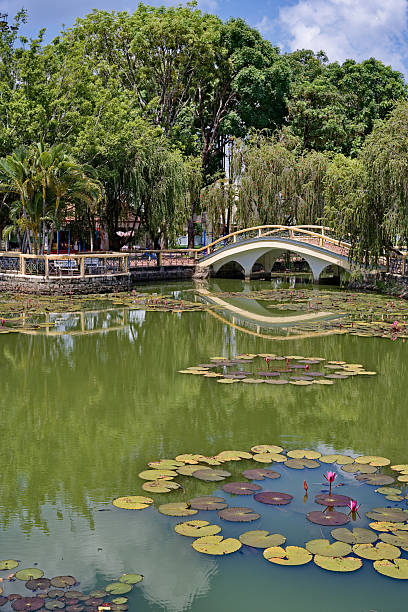 istock Serene nature in a Vietnamese urban park 2214333835