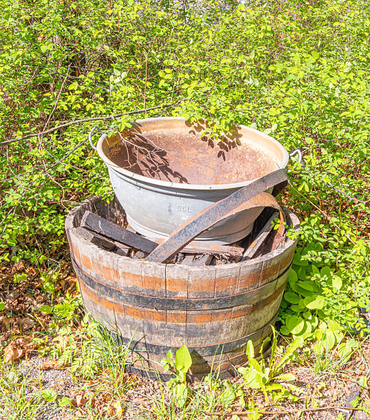 An old metal bucket placed on top of a wooden barrel, surrounded by lush green foliage. The scene captures a rustic outdoor setting with natural elements.