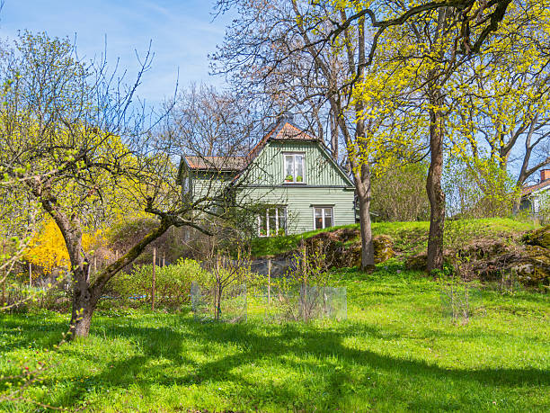 Demolishing wooden house in abandoned village