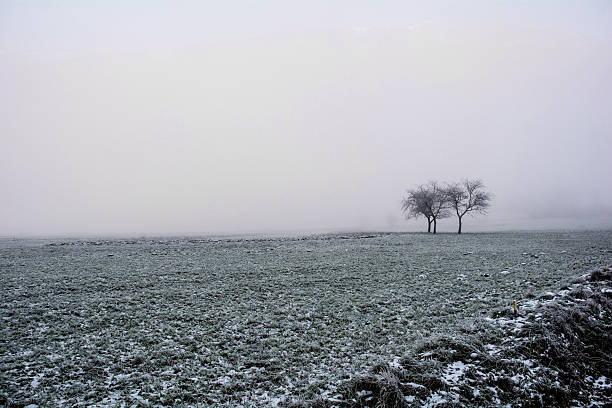 Landscape at winter in Germany with tree and bench.