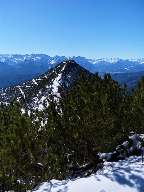 istock Snow-covered mountain peak with lush greenery in the foreground on a clear blue sky day 2214338533