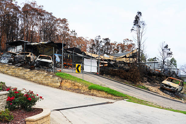 After 2019/2020 Australian Black Summer Bushfires