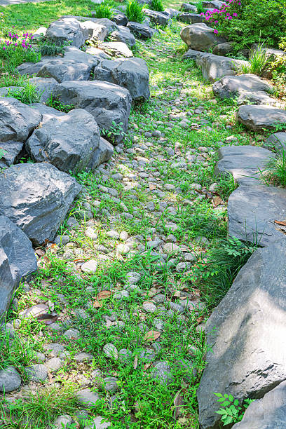 istock Stone footpath and bush in the garden 2214343214