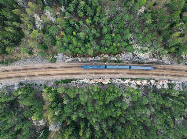 istock Train on a railroad in a forest landscape 2214347051