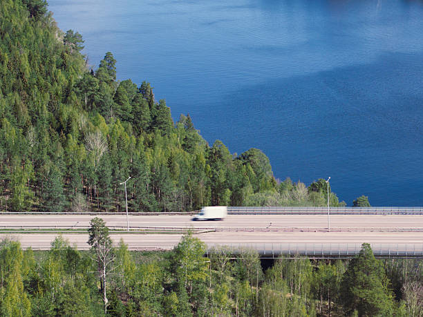 Winding asphalt road with green trees on both sides, Northern Europe