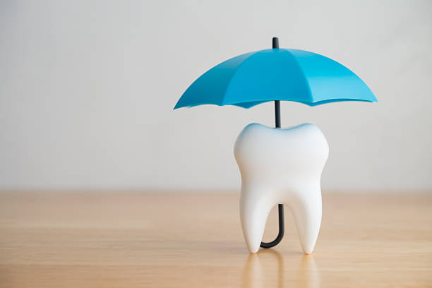 blue umbrella covers white clean tooth on white background copy space. - higiene dental imagens e fotografias de stock