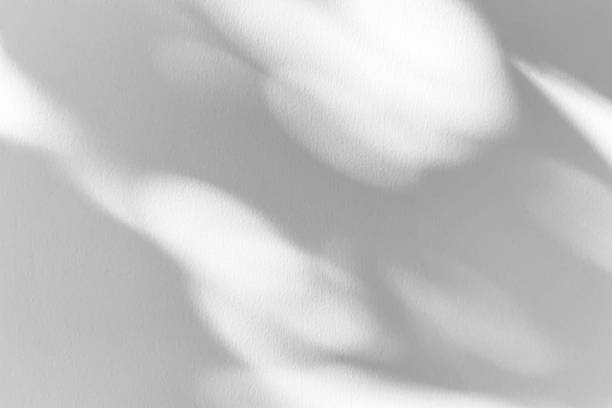 istock Abstract natural tree branch leaves shadow on white wall background 2214352578